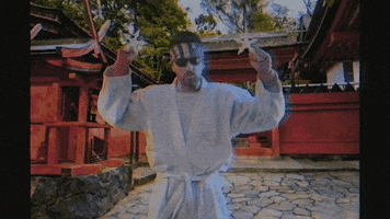 Kung Fu Fight GIF by BabylonBee