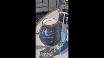 Annaga GIF by SHANNON BALENCIAGA