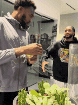 Basketball Nba GIF by Detroit Pistons