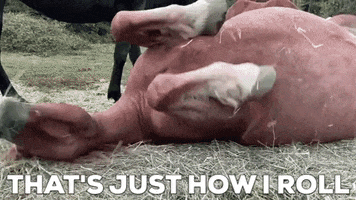Roll Over GIF