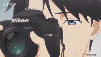Cherry Blossom Photography GIF by HIDIVE