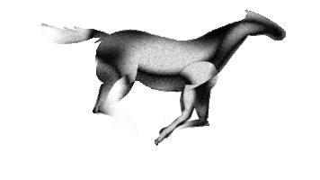 Horse Running Sticker by Ardas Archive