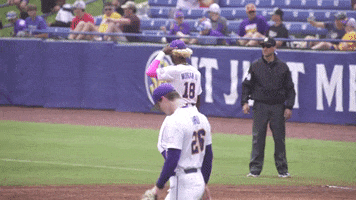 Bow And Arrow Baseball GIF by LSU Tigers