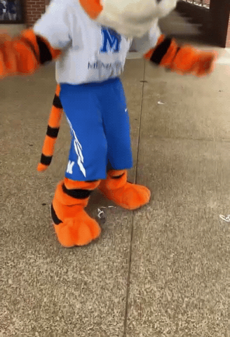 Celebrate Memphis Tigers GIF by University of Memphis