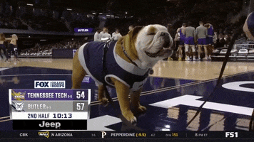 Butler Basketball Yes GIF by Butler University