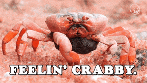 Crabbie meme gif