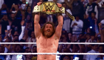 Sami Zayn Wwe GIF