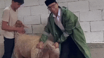 Uzb Bloger GIF