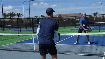 Pickleball GIF