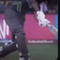 Pakistan Cricket Team Pakistan GIF