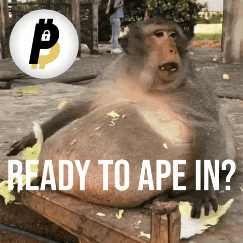 Ape Meme GIF by BitPal