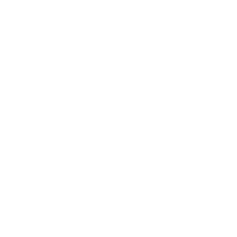 Star Shine Sticker