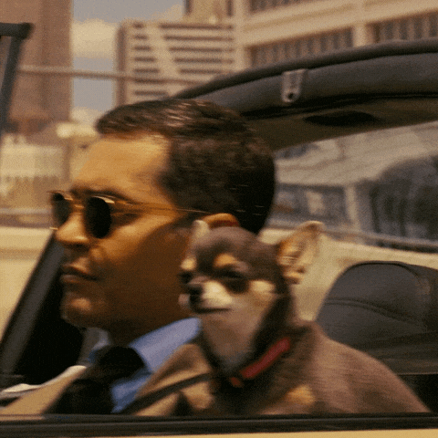 Driving Ramon Rodriguez GIF by ABC Network