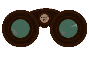 VisitMorroBayCA Sticker