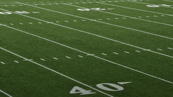 Text gif. Text appears on a picture of a football field. Text, “Nice, nice, nice, nice, nice, nice, nice, nice, Good.”