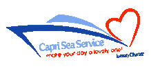 Italy Sticker by Capri Sea Service
