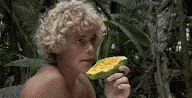 Brooke Shields GIFs - Find & Share on GIPHY