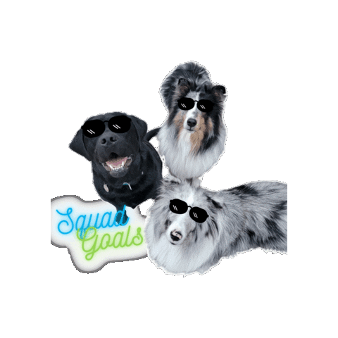 Sticker by Airdrie Puppy Pals