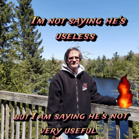 Im Not Saying Hes Useless GIF