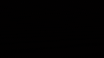 Video GIF