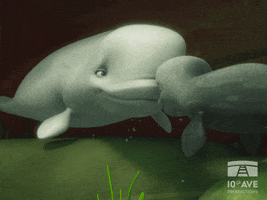 Under The Sea Love GIF by 10e Ave Productions