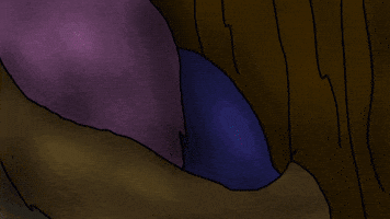 Cat GIF