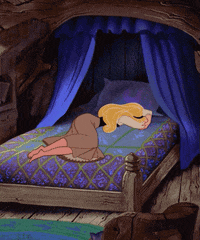 Disney-sleeping-beauty GIFs - Get the best GIF on GIPHY
