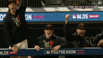 Yelling San Francisco GIF by MLB