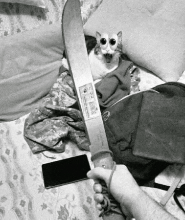 Cat Screaming GIF