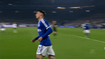 Well Done Football GIF by FC Schalke 04