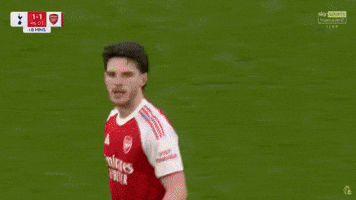 Fail Premier League GIF