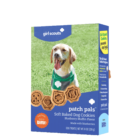 Cookie Sticker by Girl Scouts