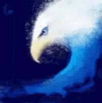 Blue GIF
