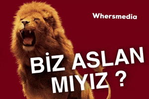 Whersmedia GIF