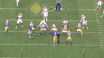 Cfcbears GIF
