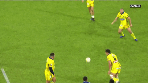 giphy.gif