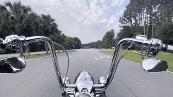 Harley Davidson Boss GIF by Tap The Table