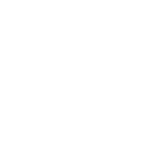 Star Sparkle Sticker