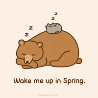 Wake Me Up Love GIF by Pusheen