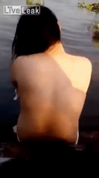 margarito  GIF