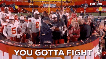National Football League Fight GIF by NFL