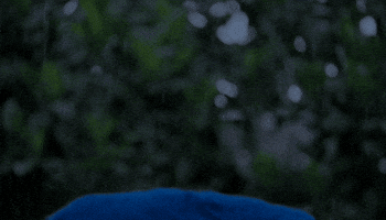 Noticing Sylvester Stallone GIF by Xavier University