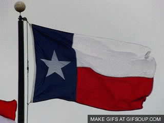 The Texas flag. 