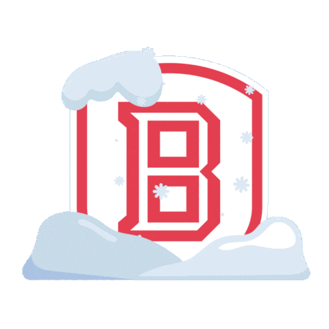 Winter Sheild Sticker by Bradley University