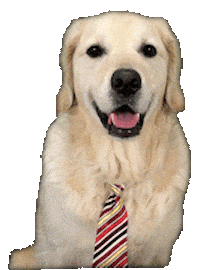 Test Sticker by Rigatoni