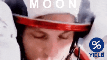 To The Moon GIF by YIELD