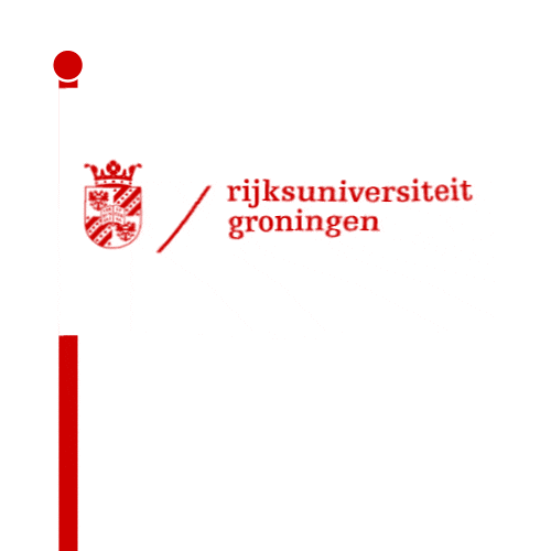 Rug Sticker by University of Groningen