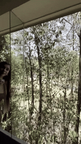 Rosarito GIF