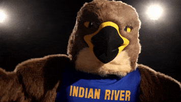 Mascot Friday Feeling GIF by IRSC - Indian River State College