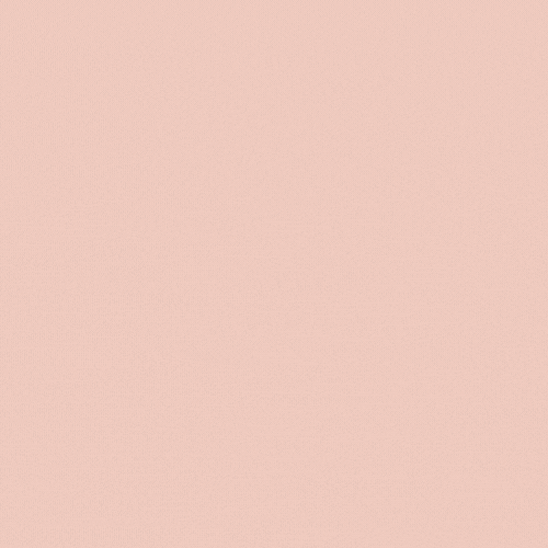 TaliaWarren GIF